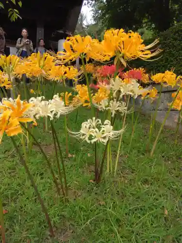 横浜　西方寺(神奈川県)
