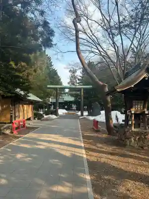 琴似神社の{uncategorized: "未分類", other: "その他", undefined: "問題あり", building: "その他建物", grave: "お墓", sacred_gate: "鳥居", guardian: "狛犬", statue: "像", buddha: "仏像", history: "歴史", nature: "自然", garden: "庭園", animal: "動物", pagoda: "塔", temizu: "手水舎", mountain_gate: "山門・神門", sanctuary: "本殿・本堂", subordinate: "末社・摂社", art: "芸術", scenery: "景色", jizo: "地蔵", ema: "絵馬", goshuin: "御朱印", omikuji: "おみくじ", items: "授与品その他", amulet: "お守り", goshuincho: "御朱印帳", eats: "食事", festival: "お祭り", votive_dance: "神楽", shichigosan: "七五三参", wedding: "結婚式", experience: "体験その他", initially: "初詣", around: "周辺", anti_infection: "感染症対策"}