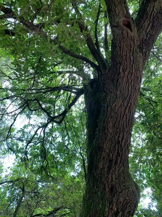 沼鉾神社の自然