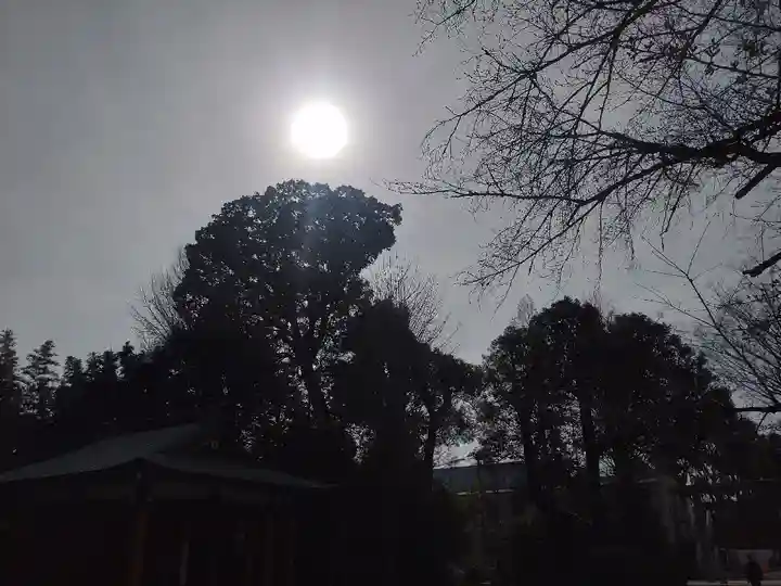 阿佐ヶ谷神明宮(東京都)