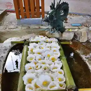 立志神社(滋賀県)(2024年04月16日(火) 09時57分01秒投稿)