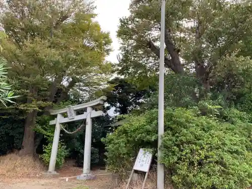 日枝神社の鳥居