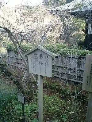 瑞泉寺のその他建物