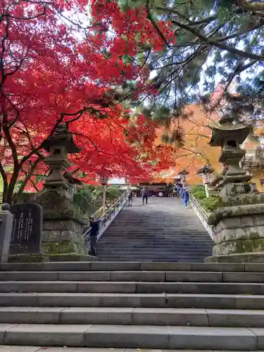 最乗寺（道了尊）(神奈川県)