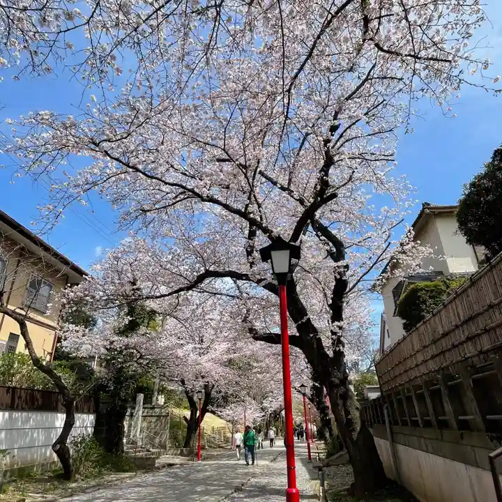 法華経寺の自然