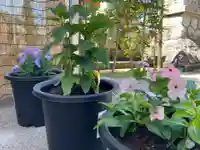 總社 和田八幡宮の庭園