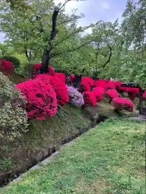 彌高神社の{uncategorized: "未分類", other: "その他", undefined: "問題あり", building: "その他建物", grave: "お墓", sacred_gate: "鳥居", guardian: "狛犬", statue: "像", buddha: "仏像", history: "歴史", nature: "自然", garden: "庭園", animal: "動物", pagoda: "塔", temizu: "手水舎", mountain_gate: "山門・神門", sanctuary: "本殿・本堂", subordinate: "末社・摂社", art: "芸術", scenery: "景色", jizo: "地蔵", ema: "絵馬", goshuin: "御朱印", omikuji: "おみくじ", items: "授与品その他", amulet: "お守り", goshuincho: "御朱印帳", eats: "食事", festival: "お祭り", votive_dance: "神楽", shichigosan: "七五三参", wedding: "結婚式", experience: "体験その他", initially: "初詣", around: "周辺", anti_infection: "感染症対策"}