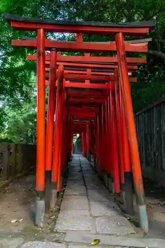 根津神社の鳥居