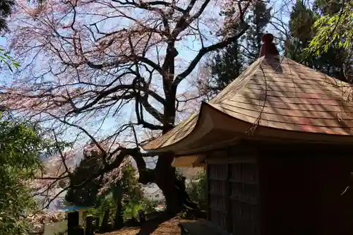 荒井馬頭観音堂の本殿・本堂