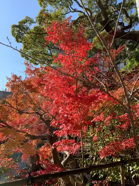 生田神社の自然