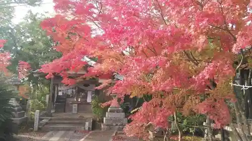 霊山寺（仁和寺塔頭）の自然