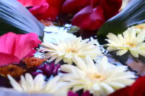 三津厳島神社の手水舎
