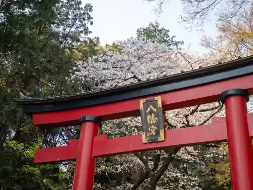 大宮八幡宮の{uncategorized: "未分類", other: "その他", undefined: "問題あり", building: "その他建物", grave: "お墓", sacred_gate: "鳥居", guardian: "狛犬", statue: "像", buddha: "仏像", history: "歴史", nature: "自然", garden: "庭園", animal: "動物", pagoda: "塔", temizu: "手水舎", mountain_gate: "山門・神門", sanctuary: "本殿・本堂", subordinate: "末社・摂社", art: "芸術", scenery: "景色", jizo: "地蔵", ema: "絵馬", goshuin: "御朱印", omikuji: "おみくじ", items: "授与品その他", amulet: "お守り", goshuincho: "御朱印帳", eats: "食事", festival: "お祭り", votive_dance: "神楽", shichigosan: "七五三参", wedding: "結婚式", experience: "体験その他", initially: "初詣", around: "周辺", anti_infection: "感染症対策"}