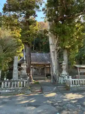来宮神社(静岡県)
