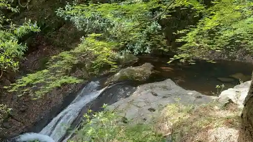 神龍八大龍王神社(熊本県)