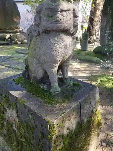 新川神社の狛犬