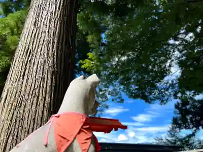 冨士山稲荷神社(長野県)