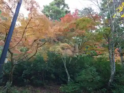 厳島神社(広島県)