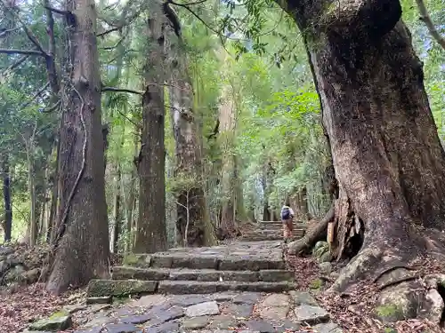 熊野那智大社(和歌山県)