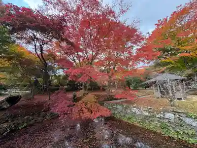 丹生都比売神社(和歌山県)