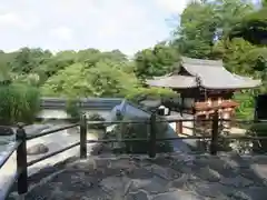 岡寺（龍蓋寺）の建物その他