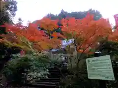 連祥院（六角堂）の本殿