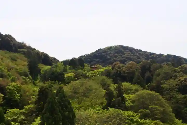 清水寺の自然