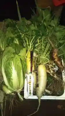 金沢八幡神社の授与品その他