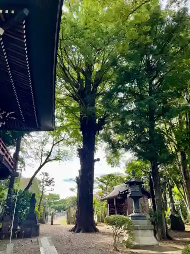 泉龍寺(東京都)