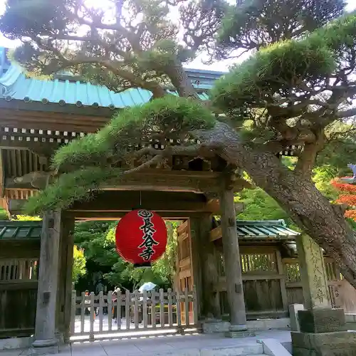 長谷寺の山門