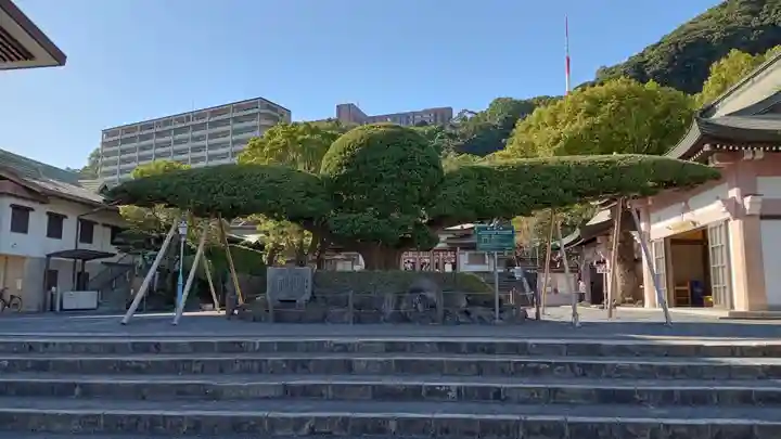 照國神社の自然
