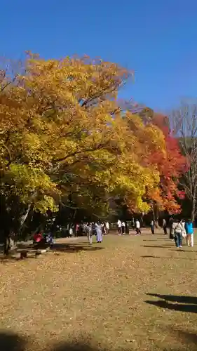 出雲大社(島根県)