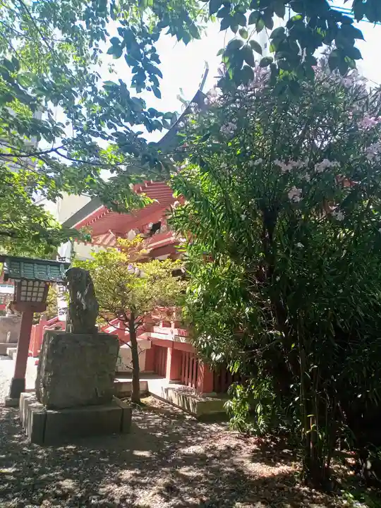 秋葉神社(東京都)