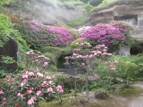 海蔵寺の庭園