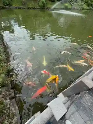 吉香神社(山口県)