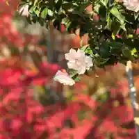 伊勢の国 四天王寺(三重県)