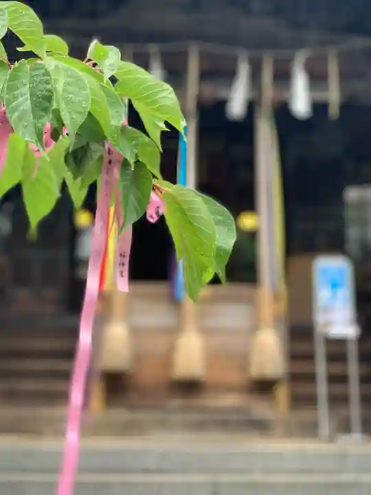 桜神宮のその他建物