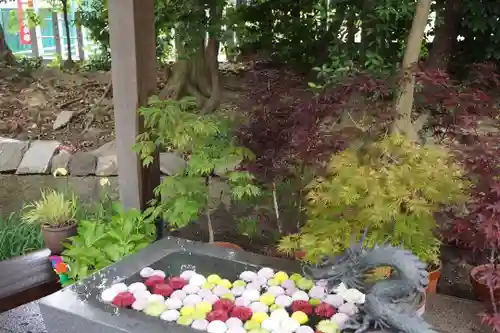 東海市熊野神社の手水舎