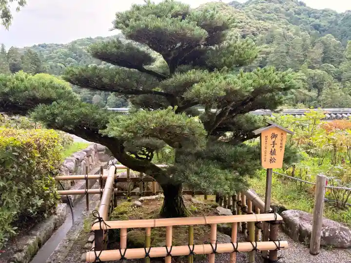 長谷寺本坊 大講堂(奈良県)