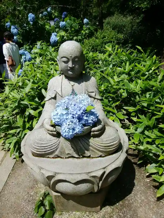 明月院(神奈川県)