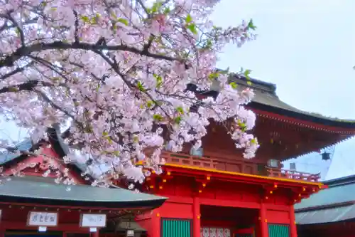 富士山本宮浅間大社(静岡県)