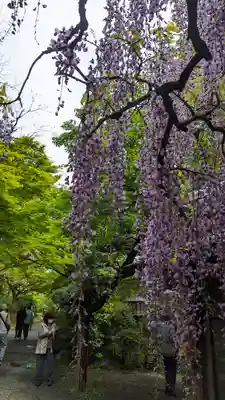 長岡天満宮(京都府)