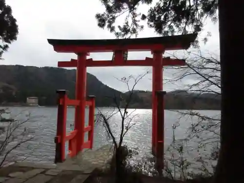 箱根神社の鳥居