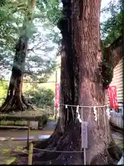 諏訪神社(東京都)