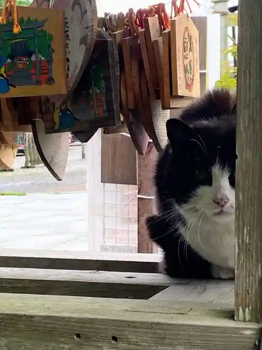 今市報徳二宮神社の動物