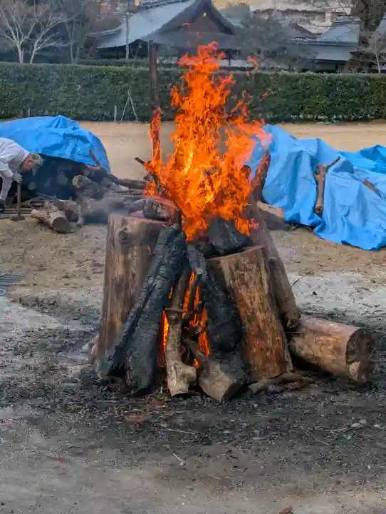 賀茂別雷神社(上賀茂神社)の{uncategorized: "未分類", other: "その他", undefined: "問題あり", building: "その他建物", grave: "お墓", sacred_gate: "鳥居", guardian: "狛犬", statue: "像", buddha: "仏像", history: "歴史", nature: "自然", garden: "庭園", animal: "動物", pagoda: "塔", temizu: "手水舎", mountain_gate: "山門・神門", sanctuary: "本殿・本堂", subordinate: "末社・摂社", art: "芸術", scenery: "景色", jizo: "地蔵", ema: "絵馬", goshuin: "御朱印", omikuji: "おみくじ", items: "授与品その他", amulet: "お守り", goshuincho: "御朱印帳", eats: "食事", festival: "お祭り", votive_dance: "神楽", shichigosan: "七五三参", wedding: "結婚式", experience: "体験その他", initially: "初詣", around: "周辺", anti_infection: "感染症対策"}