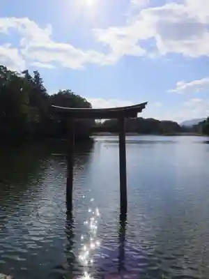 薦神社の鳥居