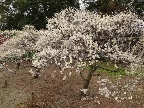 道明寺天満宮の庭園