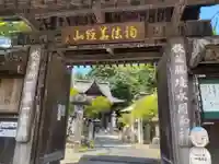 秩父札所1番 四萬部寺の山門・神門