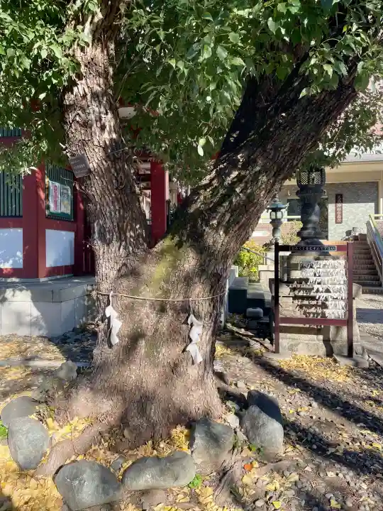 大森神社(東京都)